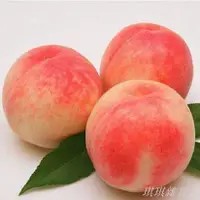在飛比找蝦皮購物優惠-【爆款熱銷】*-*日本和歌山水蜜桃 15玉/箱 精選水蜜桃 