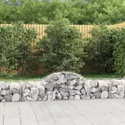 Arched Gabion Baskets 2 pcs 200x50x40/60 cm Galvanised Iron vidaXL