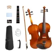 Violin 4/4 for beginner Ebony Fittings Nice tuners Students&Adults Violin Kit