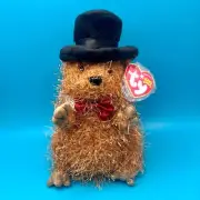 TY Beanie Baby - PUNXSUTAWNEY PHIL 2005 the Groundhog (Chamber of Commerce Excl)