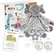 Newborn Gift Set: Baby Comforter Blanket & Parent Decision Coin - Ideal Baby Shower Present with Gift Bag