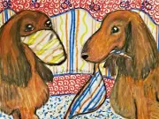 Longhaired Dachshund in Quarantine 13x19 dog art print pet gift