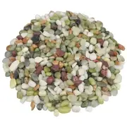 Landscaping Pebbles, River Rocks,Decorative Ornamental 1 Pound 1 Green