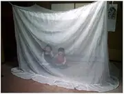 Shin-Echizen Mosquito Net, Japanese Style, for 2 People