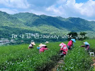 【包車一日遊】台灣苗栗|揪你旅遊|鯉魚潭鋸齒崖|銅鑼茶廠|苑裡心型公路夕陽