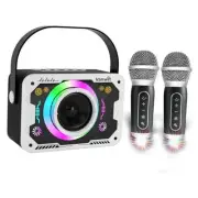 Karaoke Machine with 2 Wireless Microphones, Disco Lights, Portable Bluetooth