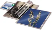 [Djois] 3L Pouches Self-Laminating Cards Handi-Pouch 66x100mm - Ref 11024 (Pack 100)