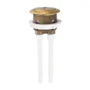 Enhance Your Bathroom with Brushed Brass Gold 38mm Toilet Flush Cistern Button