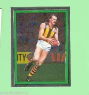 1984 SCANLENS VFL STICKER - #95 COLIN ROBERTSON, HAWTHORN HAWKS - FOIL