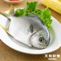 在飛比找momo購物網優惠-【天和鮮物】官方旗艦 黃金鯧320g