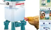Automatic Chicken Waterer, Float-Controlled Chicken Water Feeder with 4 Water
