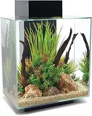 Fluval Edge 2.0 Aquarium, 46 Litre Capacity, Black