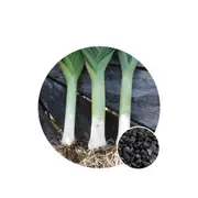 Leek King Richard - Seed Packet - Organic Seeds - Autumn - Winter