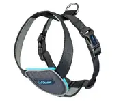 CarSafe Dog Travel Harness - Medium / Black