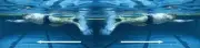 Tug-o-War™ Swim Belt