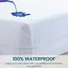 California King Zippered Waterproof Mattress Encasement Protector Cover Full