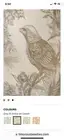 Pheasant Wallpaper Roll Bird Leaves Botanical Nature Timourous Beasties Sealed