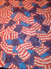 3D Patriotic Bunting cotton fabric