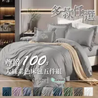 在飛比找momo購物網優惠-【GNITE】尊爵100支天絲素色兩用被床包五件組(雙人/加