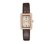 W54 Fashion Ladies Belt Quartz Waterproof Watch Square Shiny Gypsophila Watch Retro Girl Decoration Wristband Jewelry