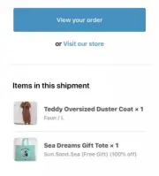 TEDDY OVERSIZED DUSTER COAT