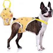 Mother Dog Menstrual Pants, Anti Harassment Underwear, Pet Physiological Pants yellow XL