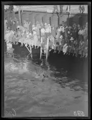 Crowd sitting on the edge of the Domain Baths watching a race duri- Old Photo