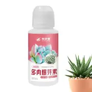 100ML Succulent Food Liquid Liquid Fertilizer for Outdoor Succulent