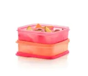 Tupperware Eco Lunch It Divided Container Set of 2 New