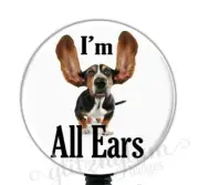 Retractable Badge Holder Reel, Funny Retractable Badge Reel, Office Badge GG4070