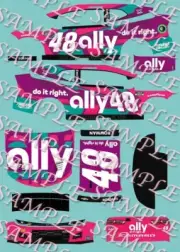 2025 Alex Bowman #48 Ally Concept 1/64 Peel&Stick Decals