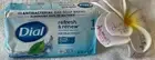 DIAL**Spring Water**ANTIBACTERIAL Refresh & Renew DEODORANT SOAP~4 OZ/113 g~NEW