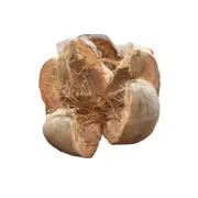 Coconut Husk Shell Hanger For Orchid & Anthurium Growing Organic Ceylon 1 Pc