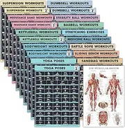 Palace Learning 20 Pack - Exercise Poster Set: Dumbbell, Suspension, Battle Rope, Stretching, Bodyweight, Barbell, Yoga, Exercise Ball, Muscular, Kettlebell, Resistance Bands (Laminated, 18” x 24”)