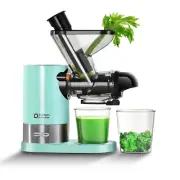 Small Juicer Machines Single-Serve Cold Press Slow Masticating Vegetable Fruit