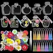 TaoBary 91 Pcs DIY Handmade Transparent Dried Flower Bookmark Set Include Butterflies Clear Bookmarks Dried Flowers Colorful Tassels and Tweezer for Book Bottle Supplies(Classic Color)