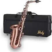 Professional Red Bronze Bend Eb E-flat Alto Saxophone Sax Abalone Shell Key Carve Pattern with Case Gloves Cleaning Cloth Straps Brush