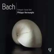 J.S. BACH / HERREWEGHE / COLLEGIUM VOCALE GENT - BACH (BOXED SET) NEW CD
