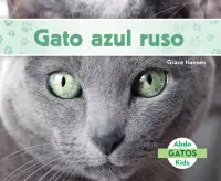 在飛比找博客來優惠-Gato Azul Ruso (Russian Blue C