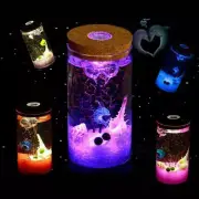 12cm Glass Bottle Jar Hydroponic Terrarium Container Light LED Cork Stopper NEW