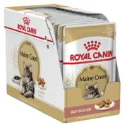 Royal Canin Maine Coon Gravy Adult Wet Cat Food - 12 x 85g Pouches (AT17P)