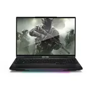 Resistance Striker R46 V2 Gaming Notebook, 16" WQXGA 240Hz, Intel i9-14900HX,...