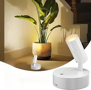 LED Wall Light, 3 Color Temperatures 10 Brightness Levels Wall Mount Light, Indoor Plant Spotlight, Full Rotation Magnetic Study Light for Study, Plant Lighting, Picture Lighting