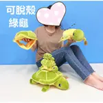 綠蠵龜 烏龜 小海龜 吊飾 綠海龜 綠蜥龜 玩偶 綠龜 綠烏龜 海龜 小烏龜 脫殼烏龜 烏龜 脫殼海龜