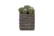 Cooper & Co. 25cm Cactus Artificial Decorative Plant In Woven Wooden Pot Set