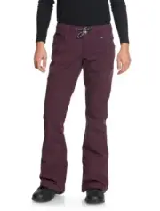 DC Women's VIVA Snow Pants - RTF0 - Medium - NWT