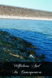 Wilfulness And Its Consequences by Lady Herbert (English) Paperback Book