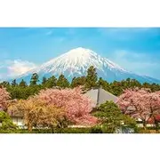 Save 5.00%! Private Mt. Fuji and Hakone Day Trip from Tokyo