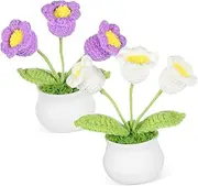 DINHEAROM 2 Pcs Crochet Flower Ornament Handmade Knitted Lily Decor Artificial Knitting Flower for Car Dashboard Office Home Desk Decoration