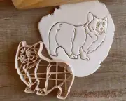 Corgi Whole Body Side Pet Animal Doggo Doggy Dog Breed Cookie Cutter Pastry